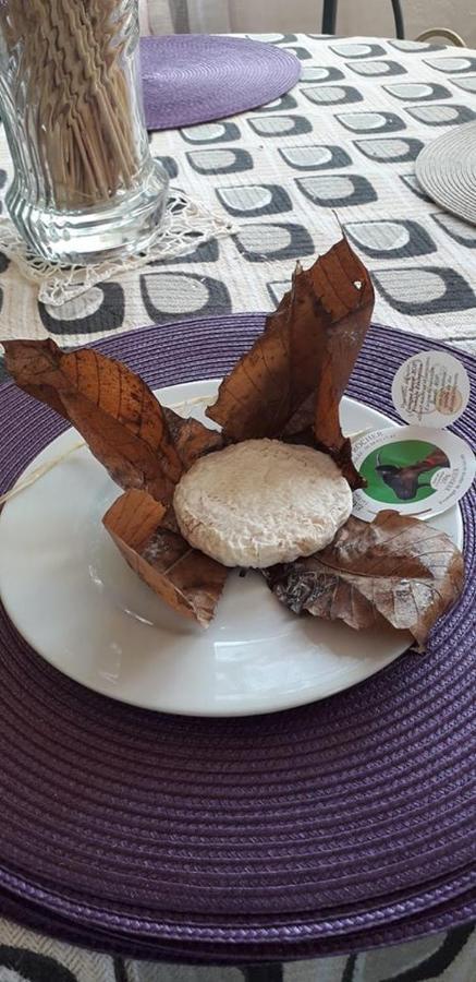 La Maison De Marie-Jeanne - Le Rocher D'Ongles Ngoại thất bức ảnh
